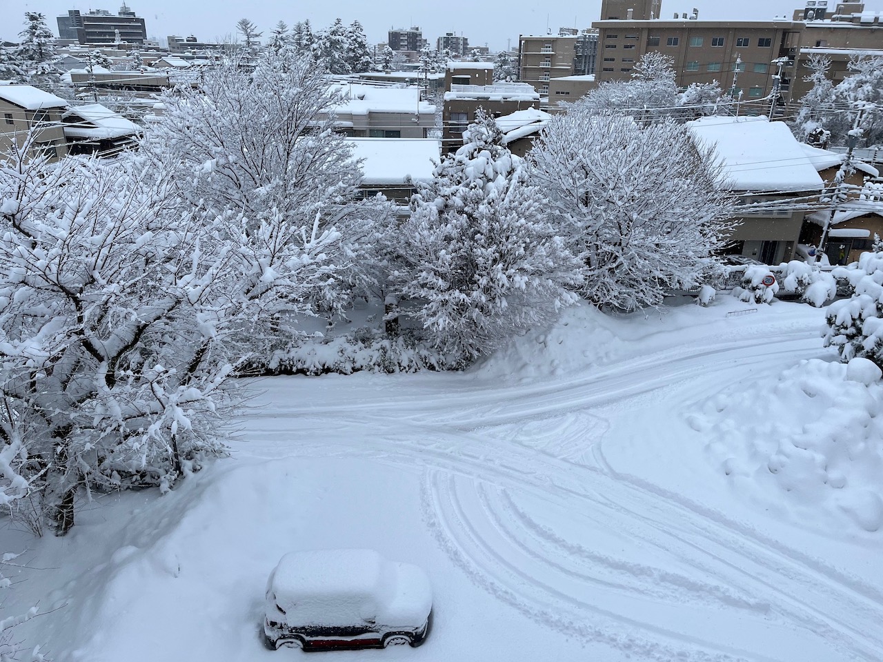 今年も大雪が降りました