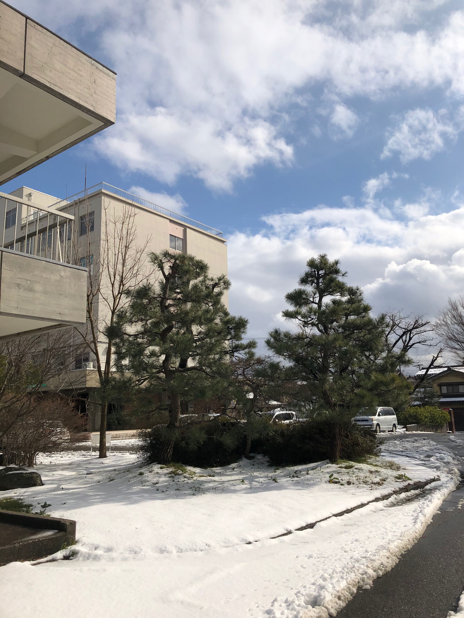 今年は雪の少ない冬となりました