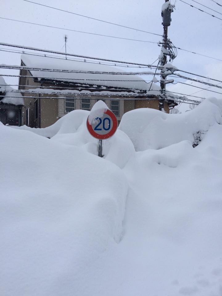 今年は雪の少ない冬となりました